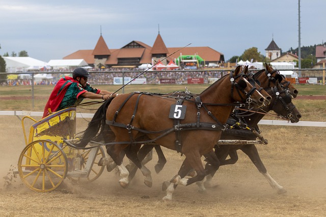 球都将是重 球都将是重